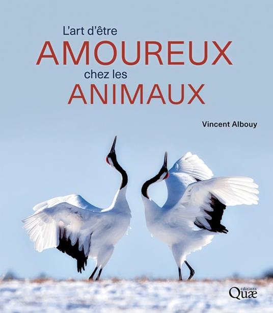 L'art d'être amoureux chez les animaux