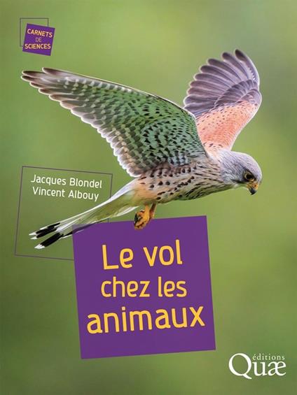 Le vol chez les animaux