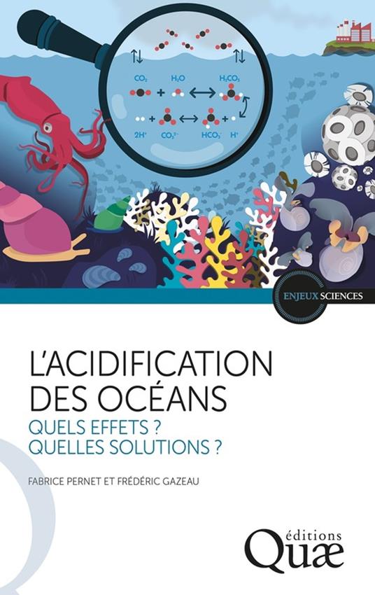 L'acidification des océans