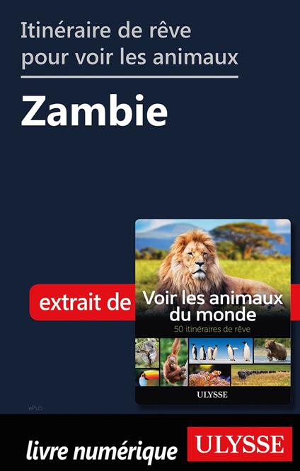 Itinéraire de rêve pour voir les animaux - Zambie