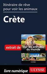 Itinéraire de rêve pour voir les animaux - Crète