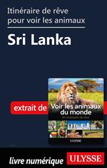 Itinéraire de rêve pour voir les animaux - Sri Lanka