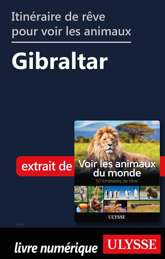 Itinéraire de rêve pour voir les animaux - Gibraltar