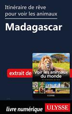 Itinéraire de rêve pour voir les animaux - Madagascar