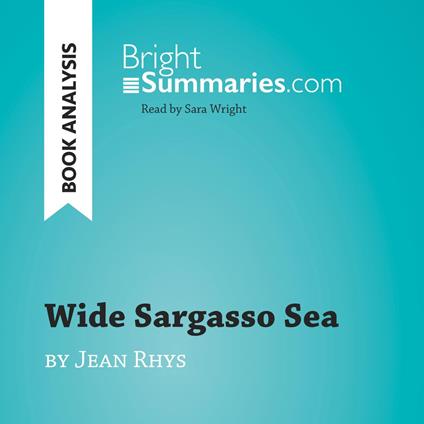 Wide Sargasso Sea by Jean Rhys (Book Analysis)