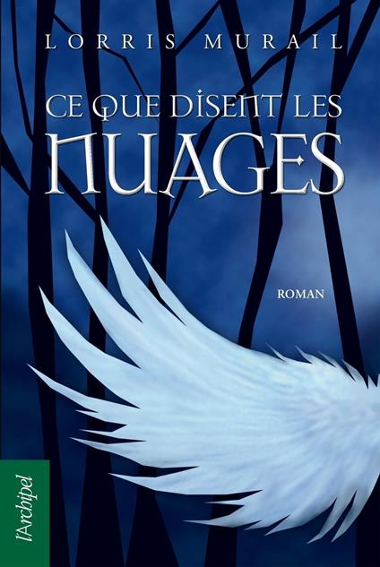 Ce que disent les nuages - Lorris Murail - ebook