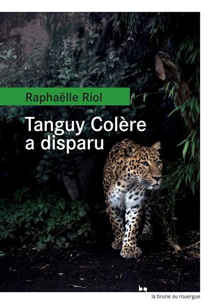 Tanguy Colère a disparu