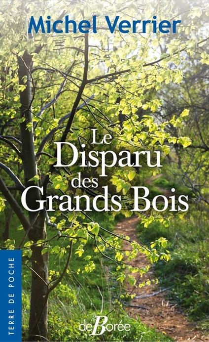 Le Disparu des Grands Bois