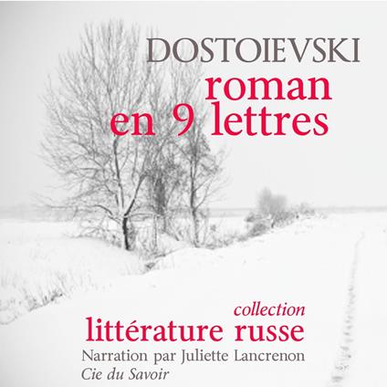 Un roman en neuf lettres