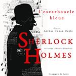 L'Escarboucle bleue, Les enquêtes de Sherlock Holmes et du Dr Watson