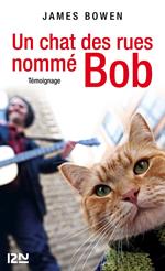 Un chat des rues nommé Bob