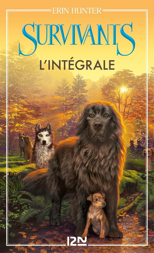 Survivants - cycle 1 intégrale - Erin Hunter,Frédérique FRAISSE - ebook