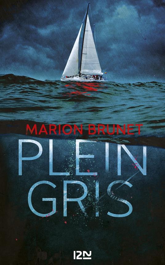 Plein Gris - Marion Brunet - ebook