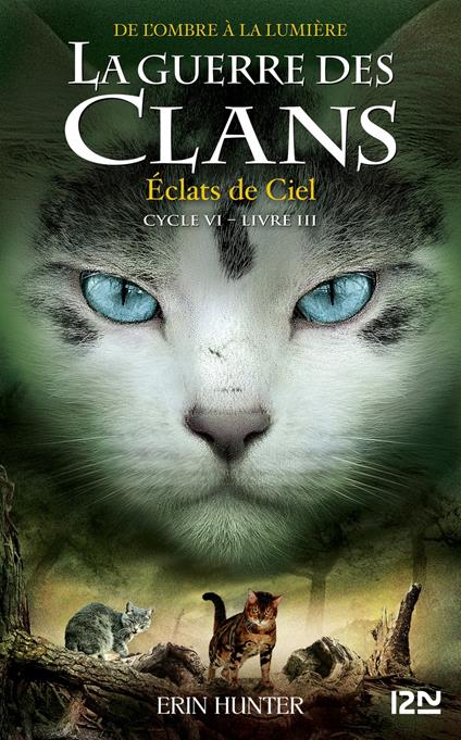 La guerre des Clans, cycle VI - tome 03 : Éclats de Ciel - Erin Hunter,Aude CARLIER - ebook