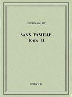 Sans famille II