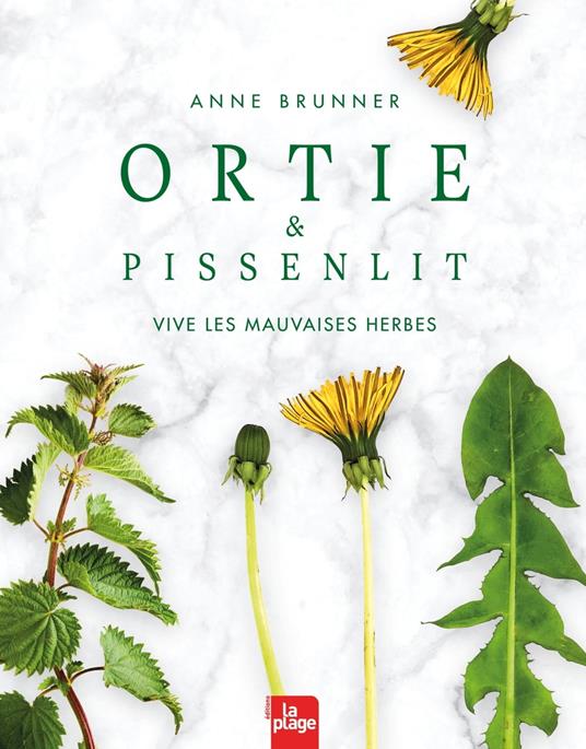 Ortie et pissenlit