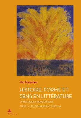 Histoire, Forme Et Sens En Litterature: La Belgique Francophone - Tome 1: l'Engendrement (1815-1914) - Marc Quaghebeur - cover