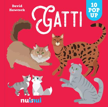 Gatti. Sorprendenti pop up. Ediz. a colori - David Hawcock - copertina