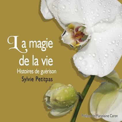 La magie de la vie : Histoires de guérison