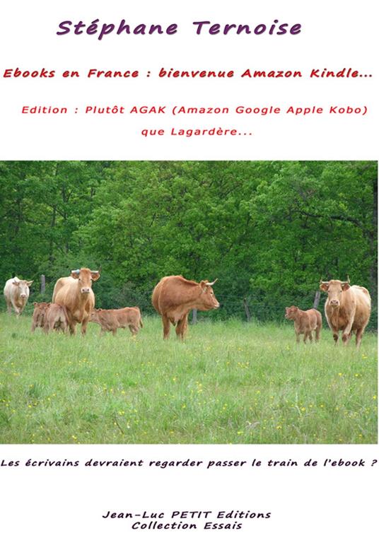 Ebooks en France : bienvenue Amazon Kindle ; Edition : Plutôt AGAK (Amazon Google Apple Kobo) que Lagardère