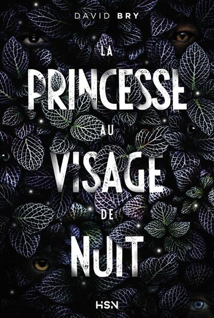 La Princesse au visage de nuit