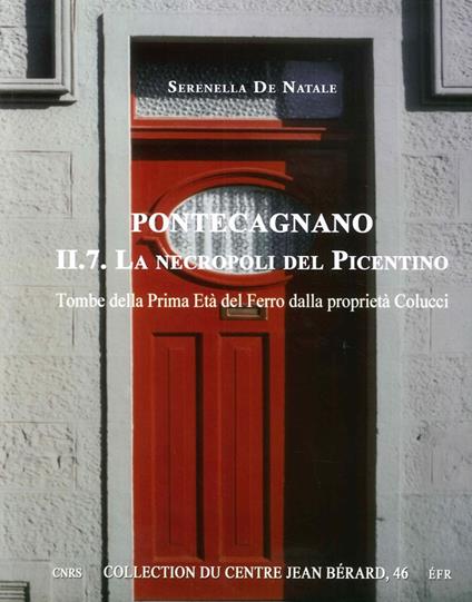 Pontecagnano. Vol. 2\7: necropoli del picentino. Tombe della prima età del ferro dalla proprietà Colucci, La. - Serenella De Natale - copertina