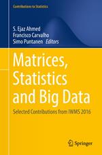 Matrices, Statistics and Big Data