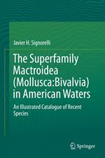 The Superfamily Mactroidea (Mollusca:Bivalvia) in American Waters