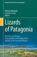 Lizards of Patagonia