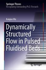 Dynamically Structured Flow in Pulsed Fluidised Beds