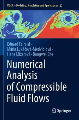 Numerical Analysis of Compressible Fluid Flows - Eduard Feireisl,Maria Lukacova-Medvidova,Hana Mizerova - cover