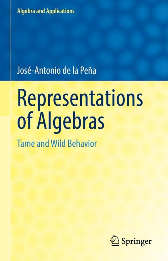 Representations of Algebras