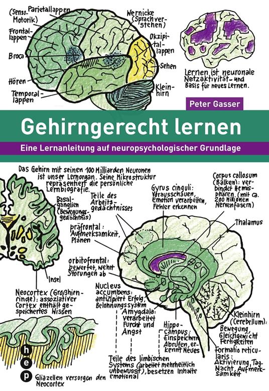 Gehirngerecht lernen (E-Book)