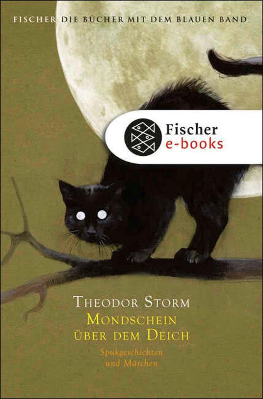 Mondschein über dem Deich - Tilman Spreckelsen,Theodor Storm,Jonas Lauströer - ebook