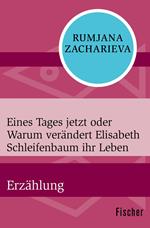 Eines Tages jetzt oder Warum verändert Elisabeth Schleifenbaum ihr Leben