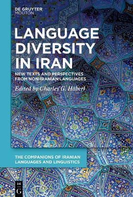 Language Diversity in Iran: New Texts and Perspectives from Non-Iranian Languages - cover