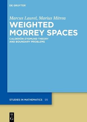 Weighted Morrey Spaces: Calderón-Zygmund Theory and Boundary Problems - Marcus Laurel,Marius Mitrea - cover