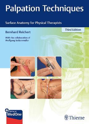 Palpation Techniques: Surface Anatomy for Physical Therapists - Bernhard Reichert,Wolfgang Stelzenmuller - cover