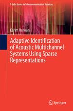 Adaptive Identification of Acoustic Multichannel Systems Using Sparse Representations