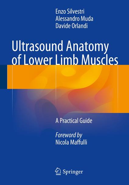 Ultrasound Anatomy of Lower Limb Muscles