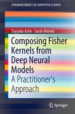 Composing Fisher Kernels from Deep Neural Models