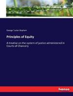 Principles of Equity: A treatise on the system of justice administered in Courts of Chancery