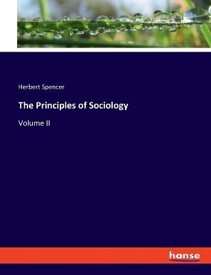 The Principles of Sociology: Volume II - Herbert Spencer - cover