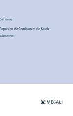 Report on the Condition of the South: in large print