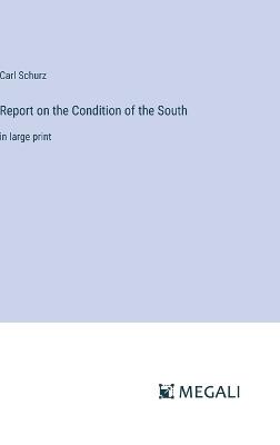 Report on the Condition of the South: in large print - Carl Schurz - cover