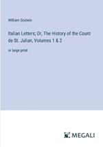 Italian Letters; Or, The History of the Count de St. Julian, Volumes 1 & 2: in large print