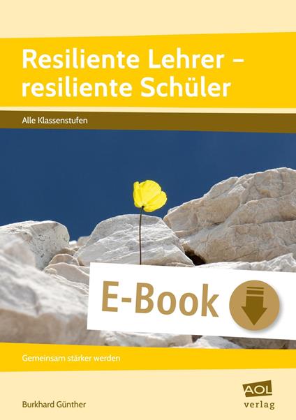 Resiliente Lehrer - resiliente Schüler