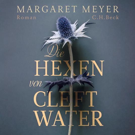 Die Hexen von Cleftwater