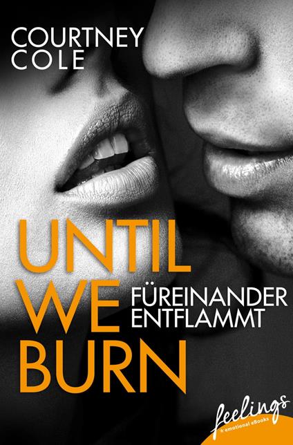 Until We Burn - Füreinander entflammt