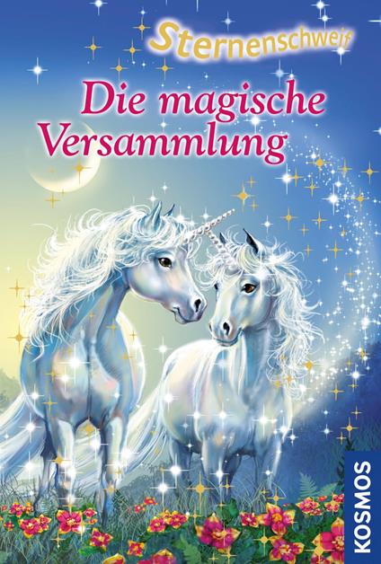 Sternenschweif, 17, Die magische Versammlung - Linda Chapman - ebook